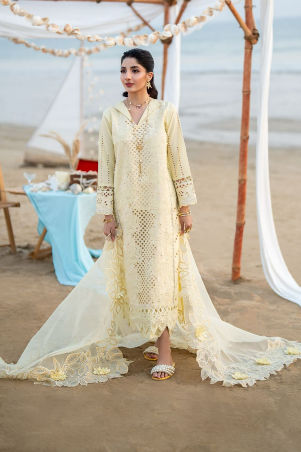 Luxury Chicken Kari Embroidered Lawn Unstitched 3 Piece